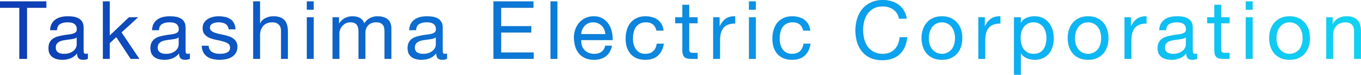 Takashima Electric Corporation